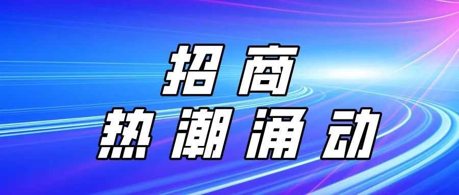2026第10届印度孟买线材线缆展览会（Wire India 2026）