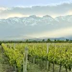 2025（Interwine China 2025）