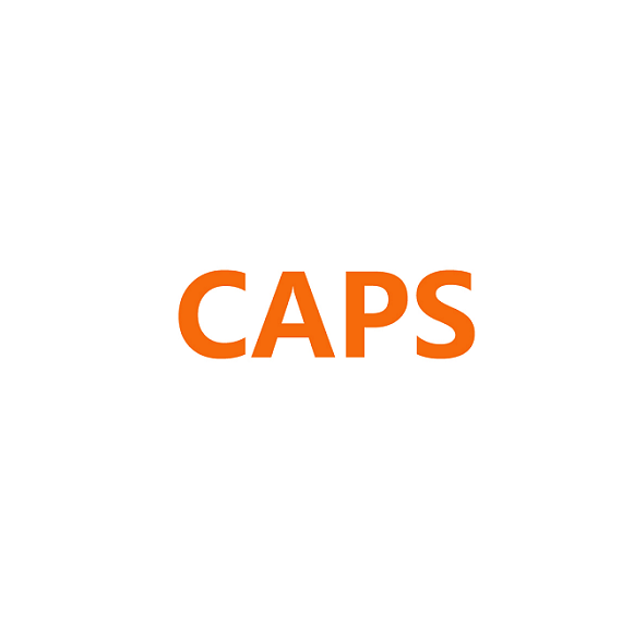 2025北京国际汽车零部件博览会（CAPS 2025）