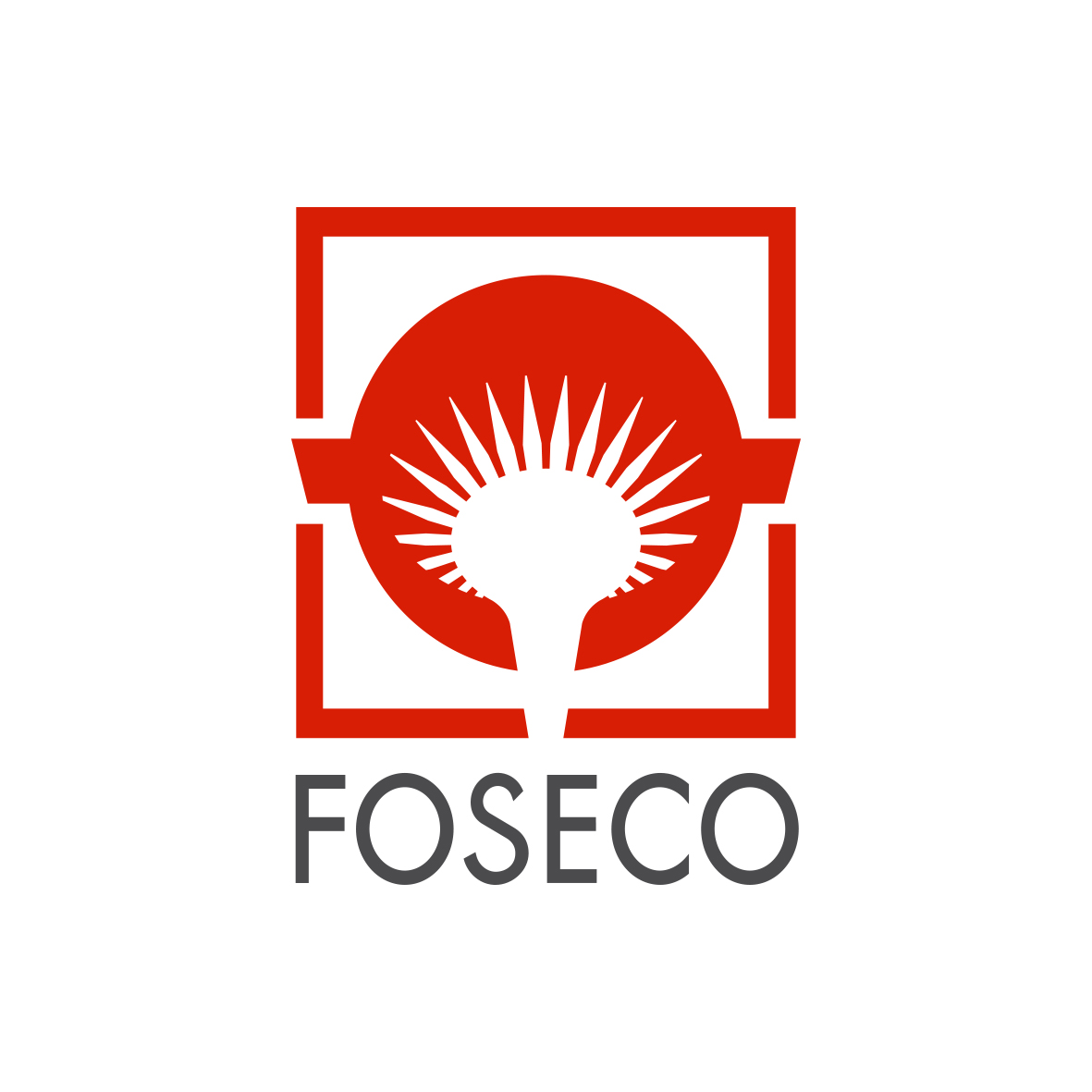 FOSECO Group / Vesuvius GmbH