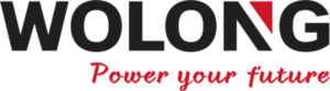 Wolong Electric Group