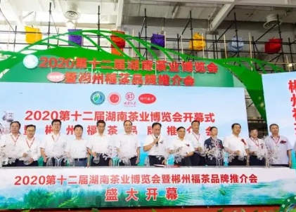 2024第十六届湖南茶业博览会
