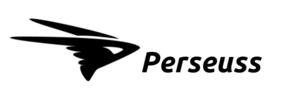 PERSEUSS LLC