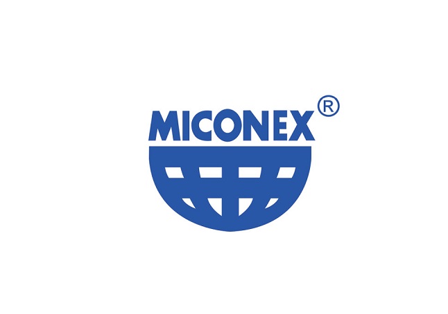 2025中国（长沙）国际测量控制与仪器仪表展览会（MICONEX 2025）
