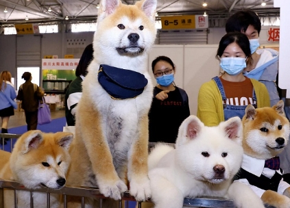2024湖南宠物产品博览会