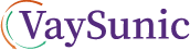 2025荷兰国际太阳能光伏展览会_VaySunic New Energy Technology GmbH