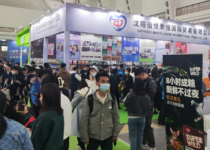 2023第四届东北（沈阳）国际宠物博览会
