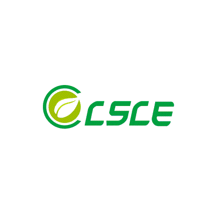 2025（CSCE 2025）