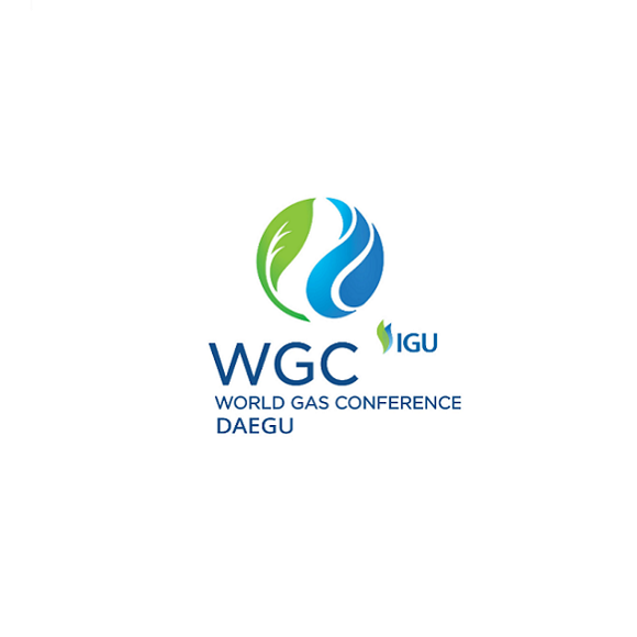 2025北京世界燃气大会（WGC 2025）