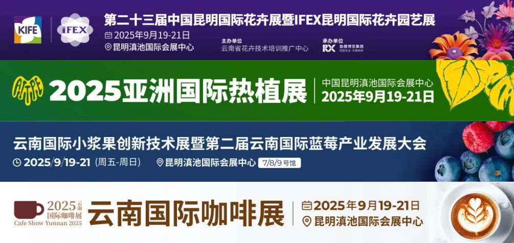 第二十三届昆明花展，七大精彩活动抢先剧透